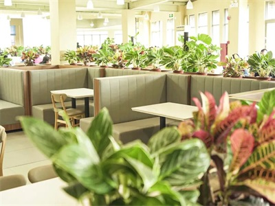 广州天省实验学校中外合作办学项目校园风采