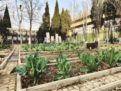 小学学部校园环境
