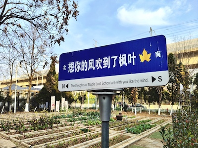 小学学部校园环境