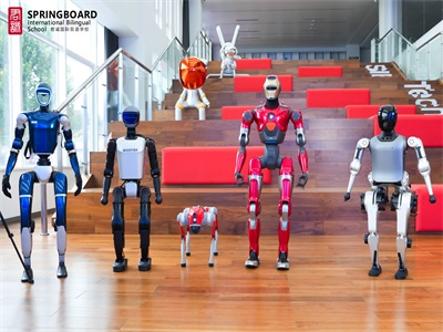 君诚国际双语学校校园风采