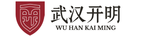 武汉开明中学