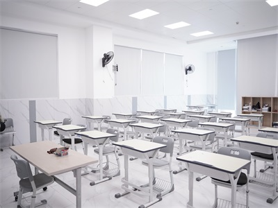 湾区国际书院学校体验日