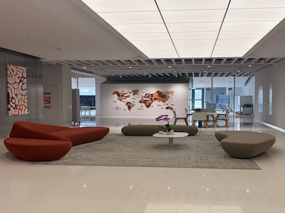 浙江桐乡市耀华学校校园风采