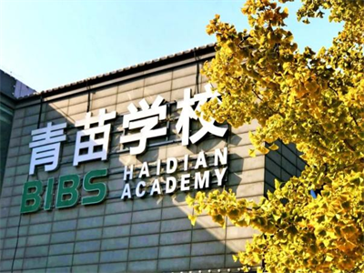 校园环境