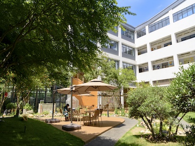 杭州橄榄树学校校园风采
